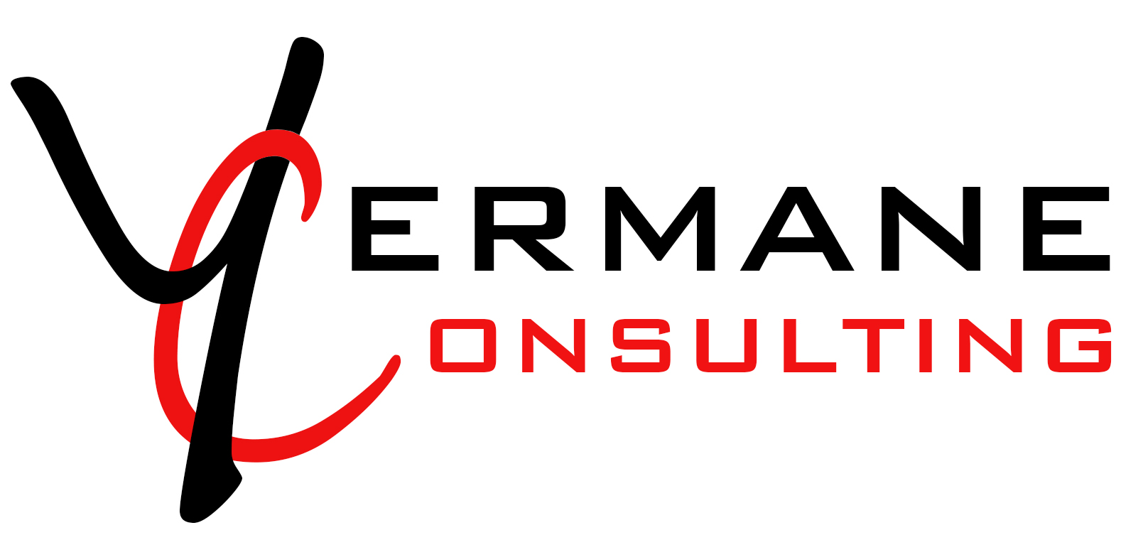 logo YERMANE CONSULTING