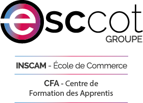 logo INSCAM - EFIP - Groupe Esccot