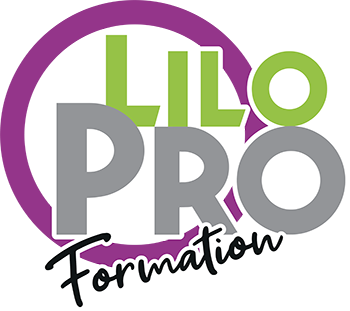 logo LiloPro