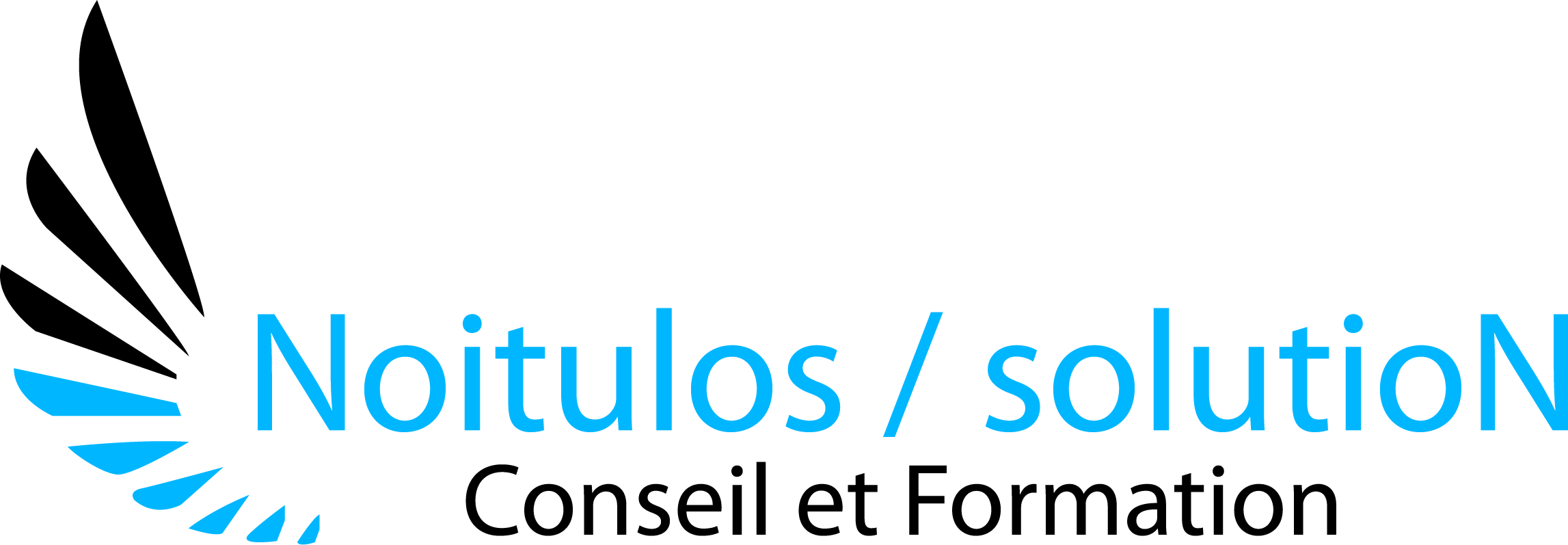 logo Noitulos / solutioN