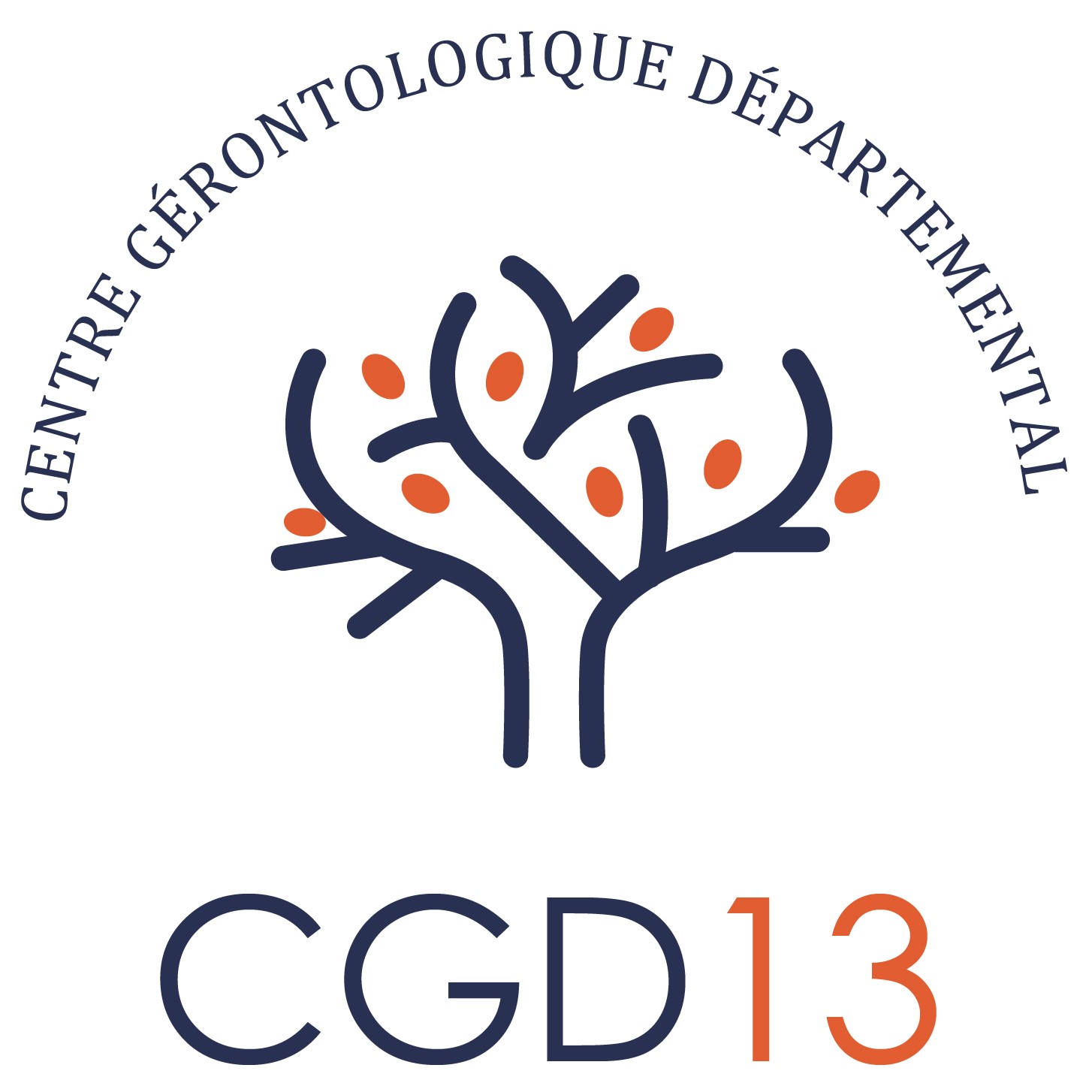 CGD13 - Centre Gérontologique Départemental