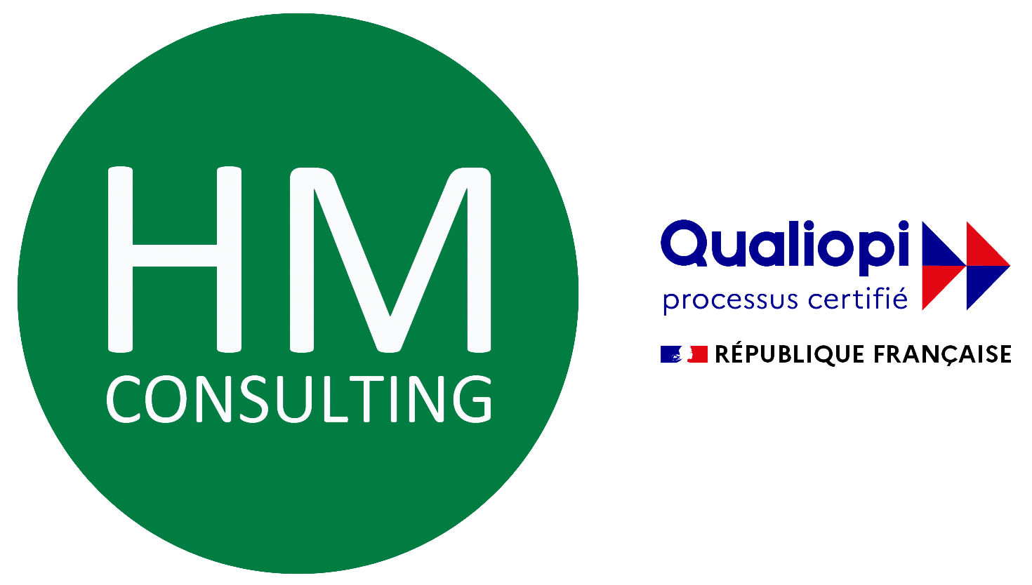 HM CONSULTING