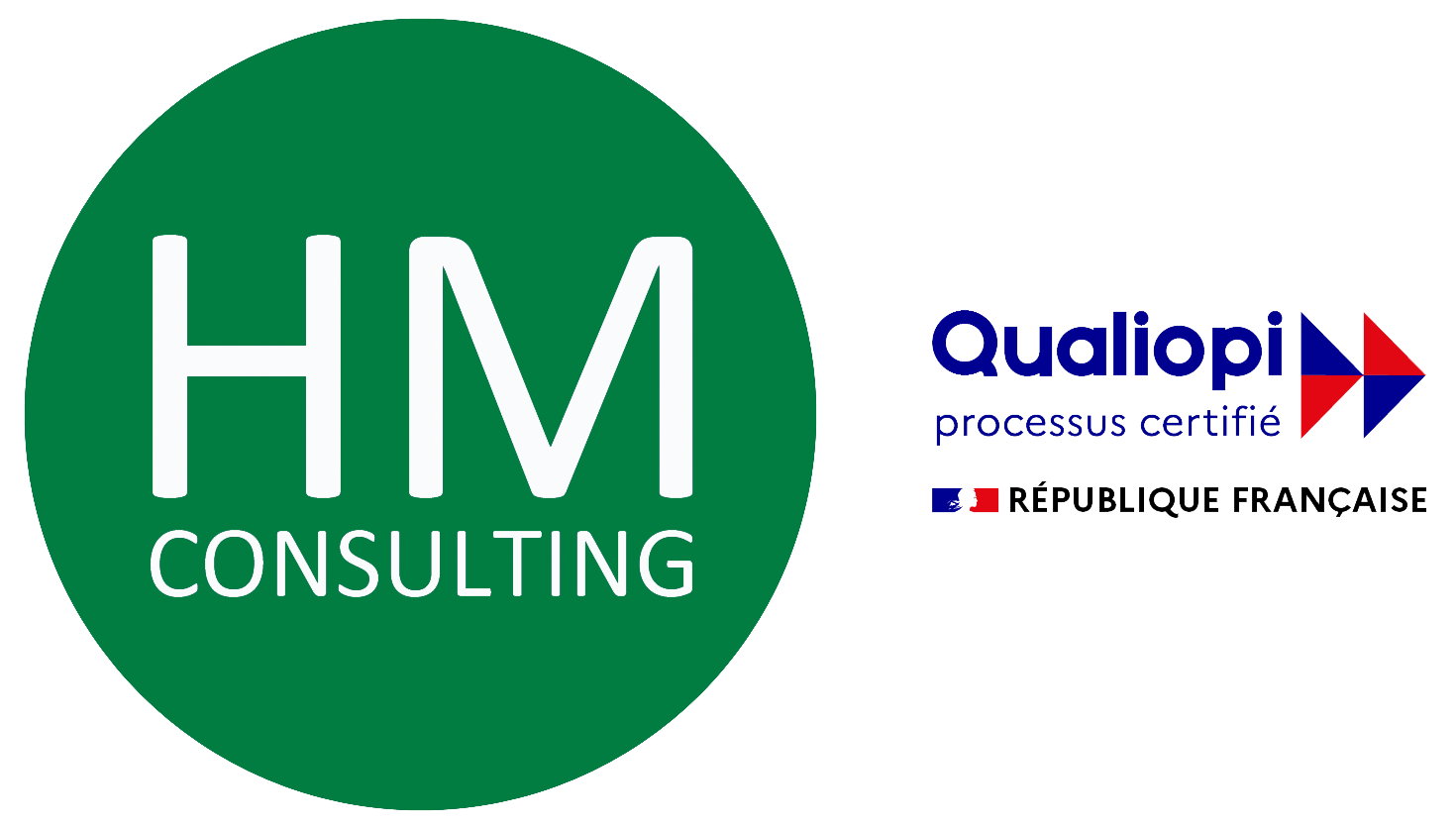 logo HM CONSULTING