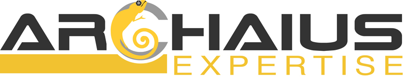 logo ARCHAIUS EXPERTISE