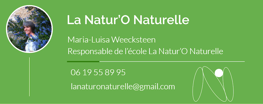 responsable de la formation