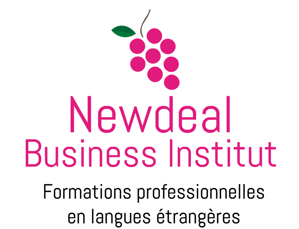 logo NEWDEAL INSTITUT