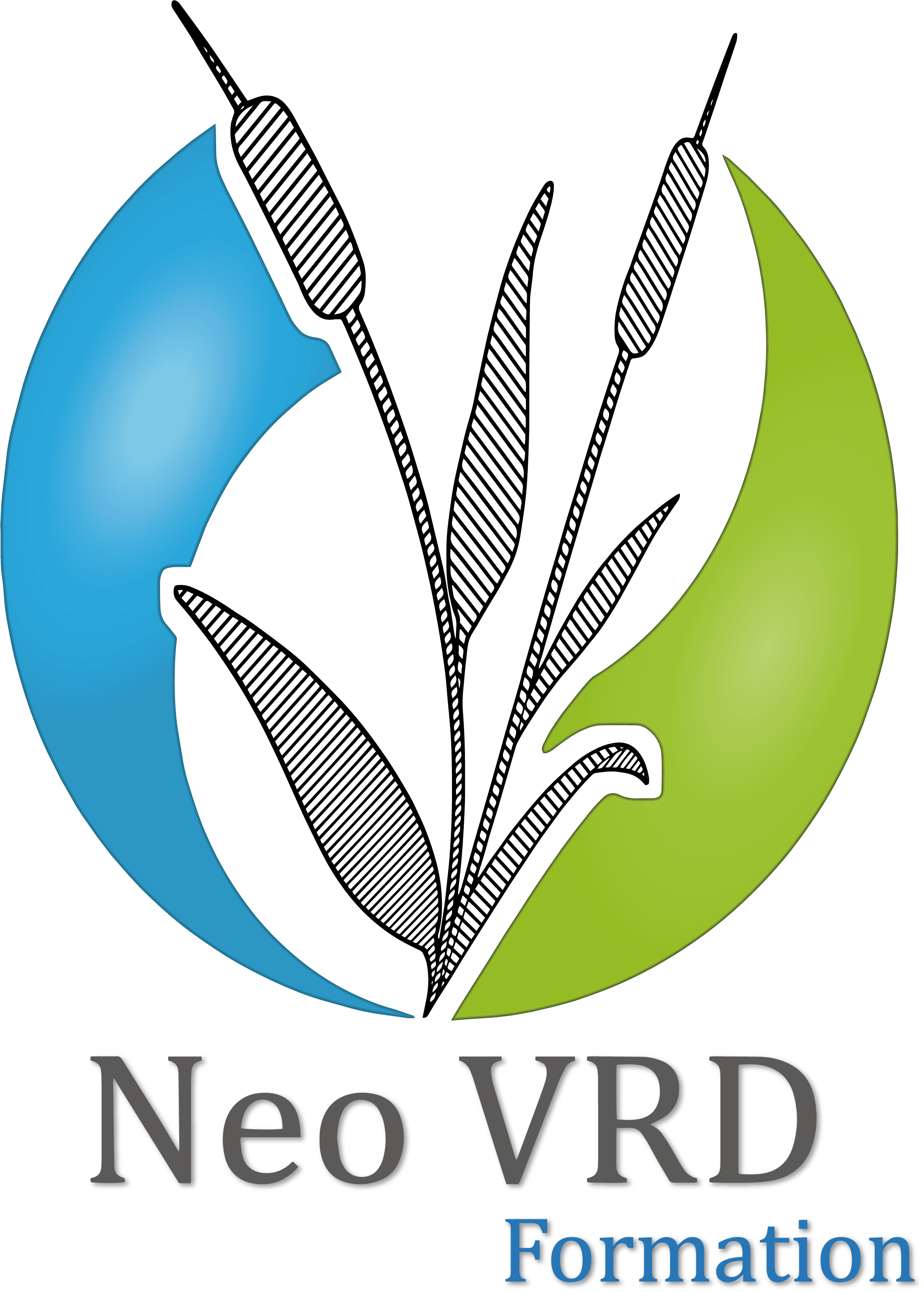 logo NEO VRD REUNION
