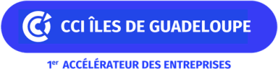 logo CCI Îles de Guadeloupe (CCI IG)
