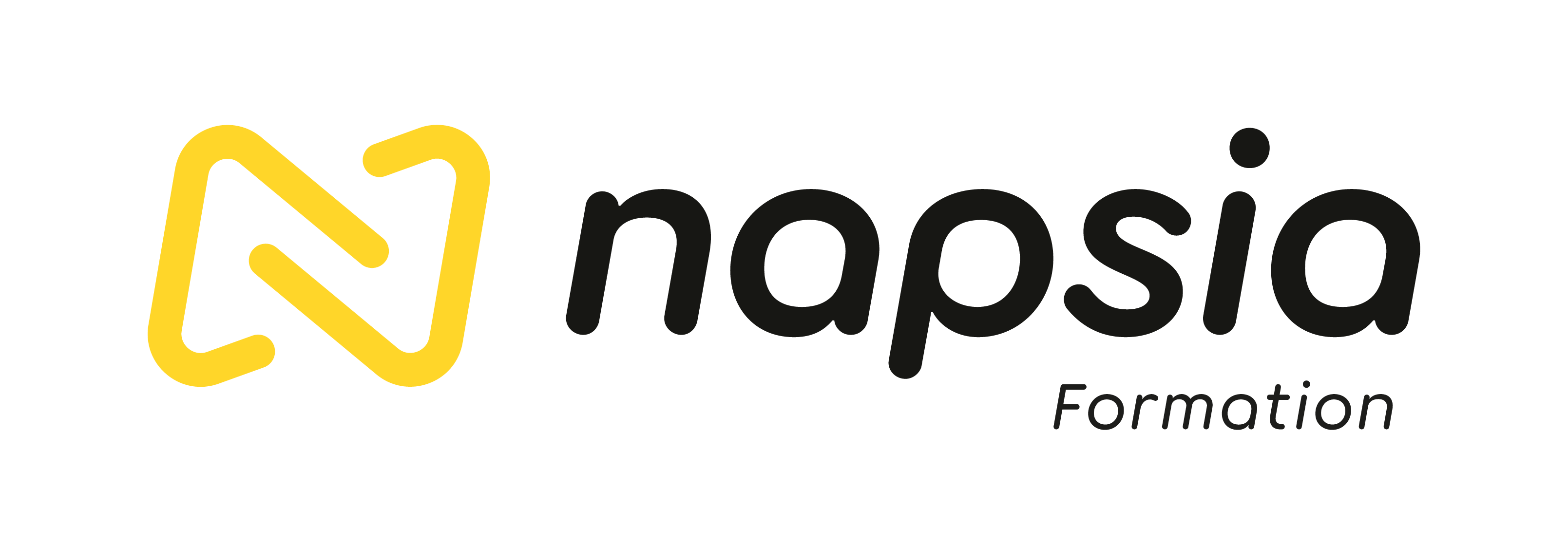 logo NAPSIA