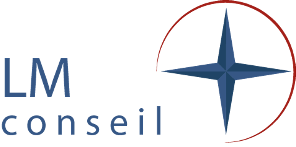 logo LMconseil