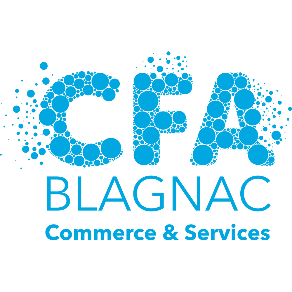 logo CFA COMMERCE ET SERVICES DE BLAGNAC