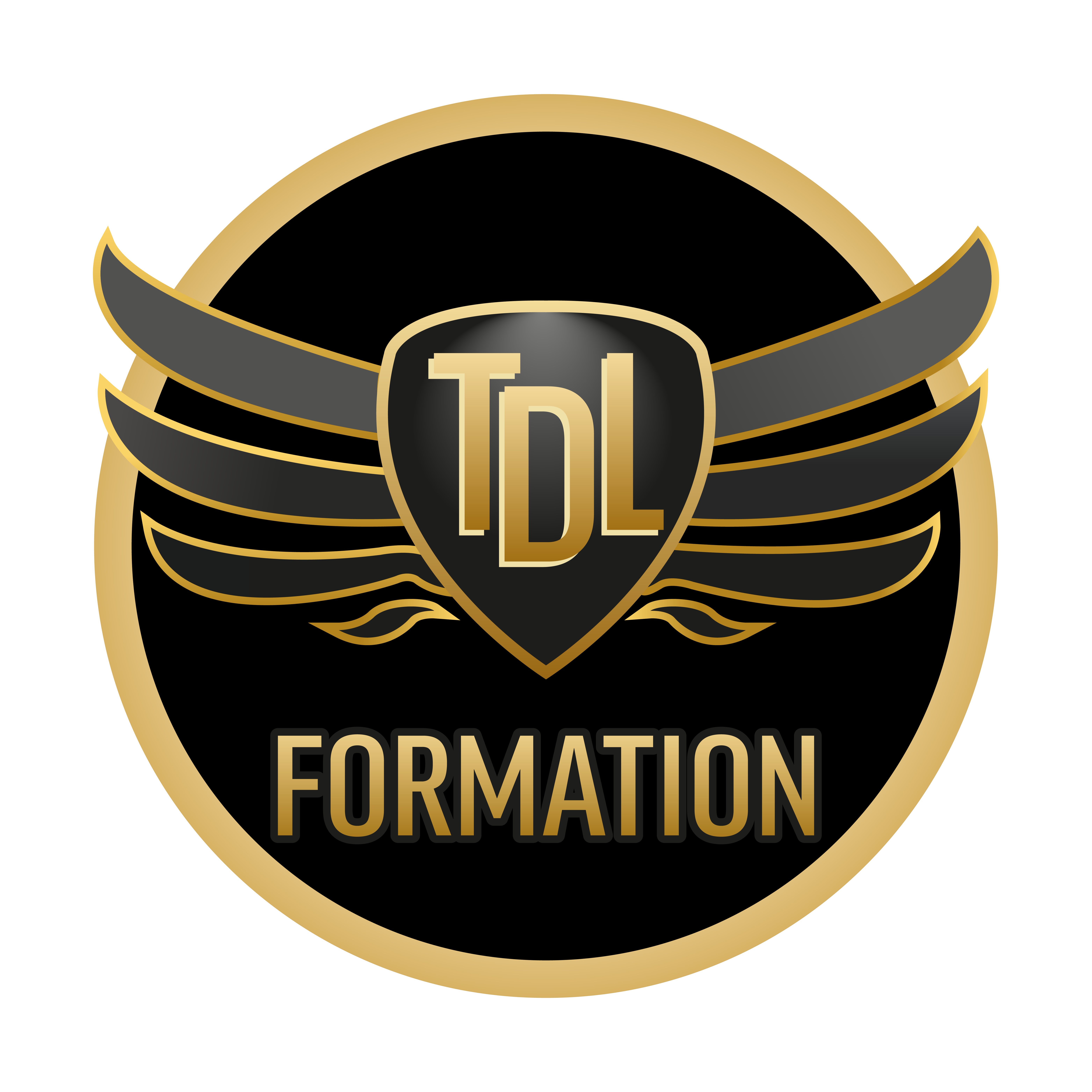 logo TOP DRIVE LEARNING (TDL FORMATION)