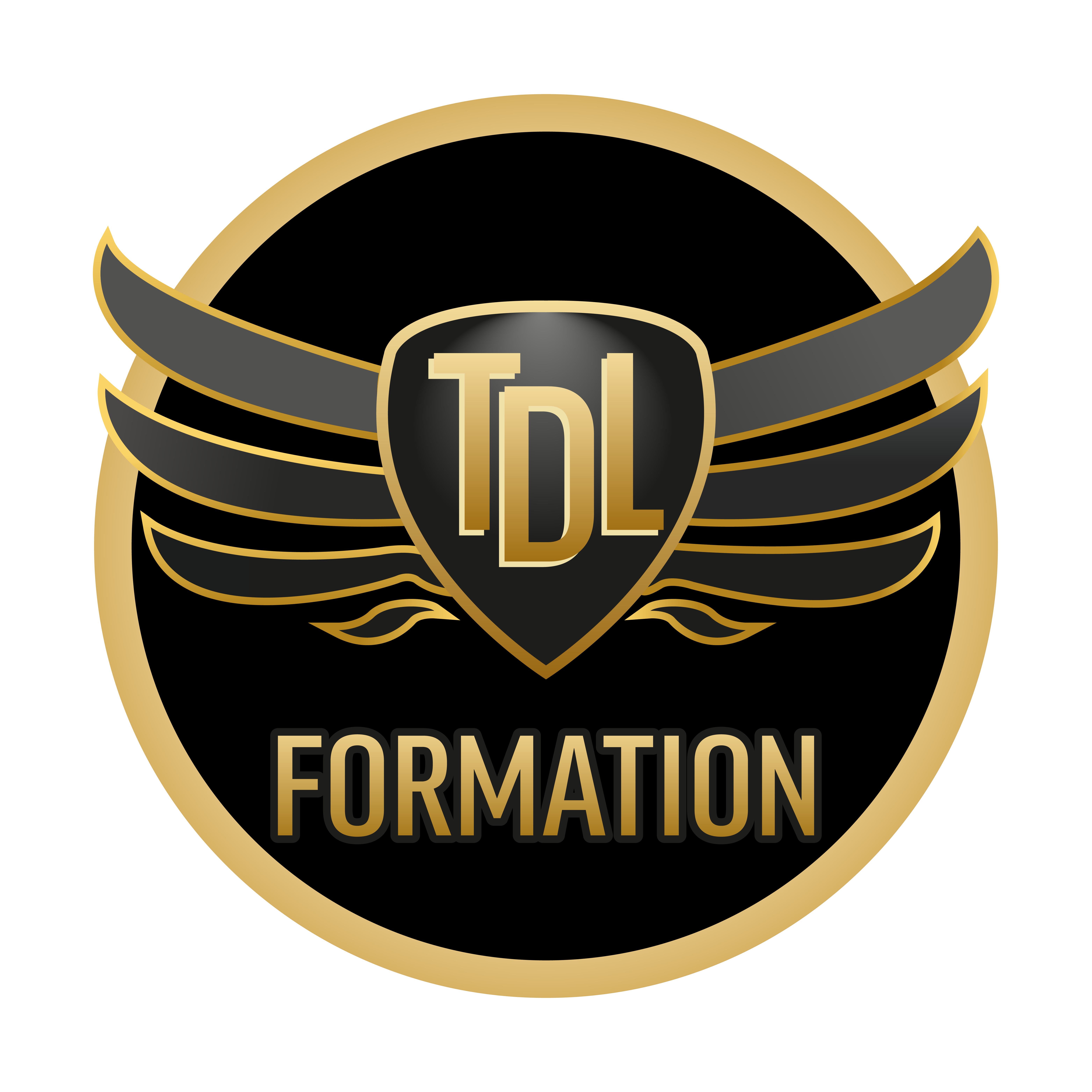 TOP DRIVE LEARNING (TDL FORMATION)