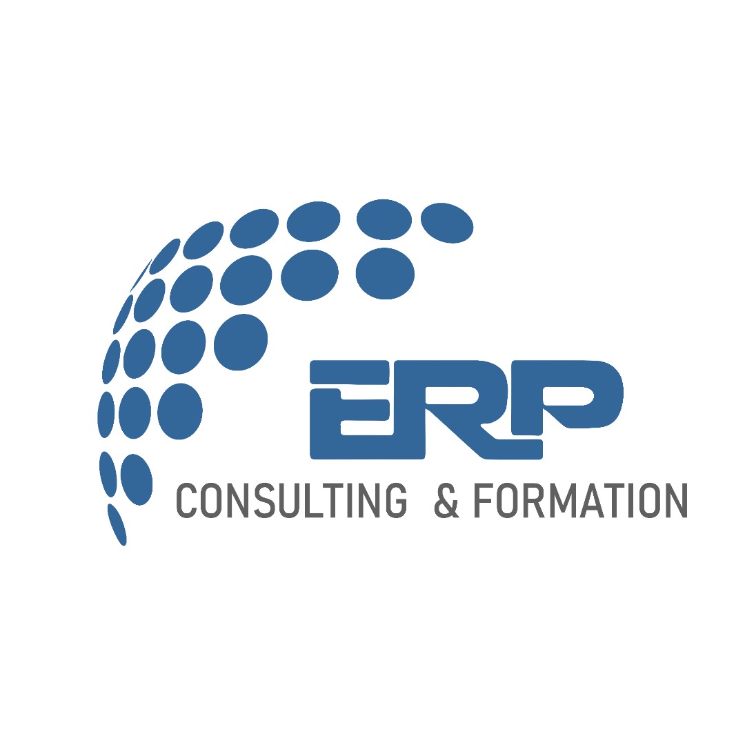 logo ERP CONSULTING & FORMATION