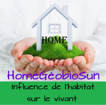 logo formation géobiologue