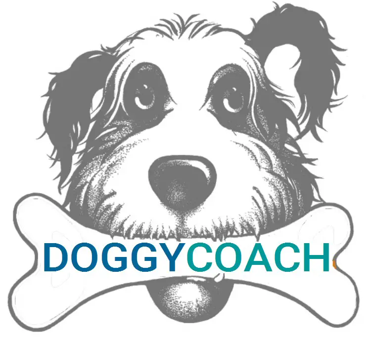 logo Doggycoach